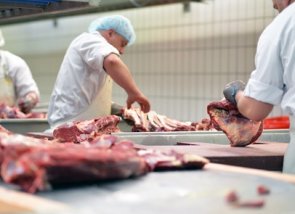 Metzger im Schlachthof // butcher in slaughterhouse Metzger im Schlachthof // butcher in slaughterhouse