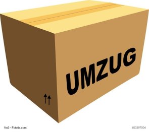 130617-Umzugskarton