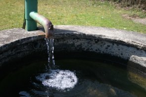 wasser wasser