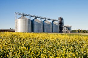 four silver silos in a wheat field four silver silos in a wheat field