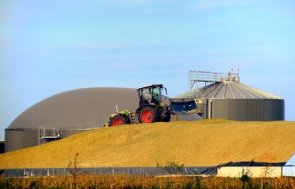 Biogasanlage lagert Mais ein Landwirtschaft im Kreis Gütersloh