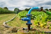Agricultural irrigation system with a well of water, for the cultivation of corn and beet during the summer. Agricultural irrigation system with a well of water, for the cultivation of corn and beet during the summer.