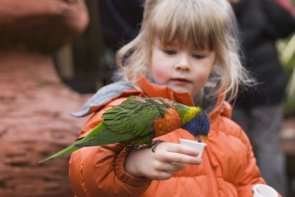 Feeding the parrot 2 Feeding the parrot 2