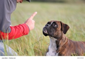 Zwiegesprch Zwiegesprch