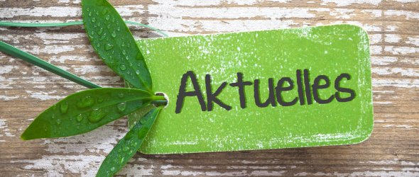 Aktuelles Plakette in grüner Farbe Aktuelles Plakette in grüner Farbe