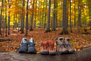 Wäldchen 112180100000010513.jpg