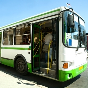Bus