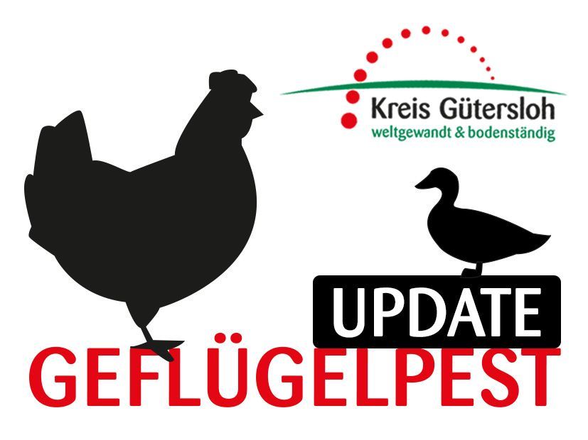 Grafik Geflügelpest Update Grafik Geflügelpest Update