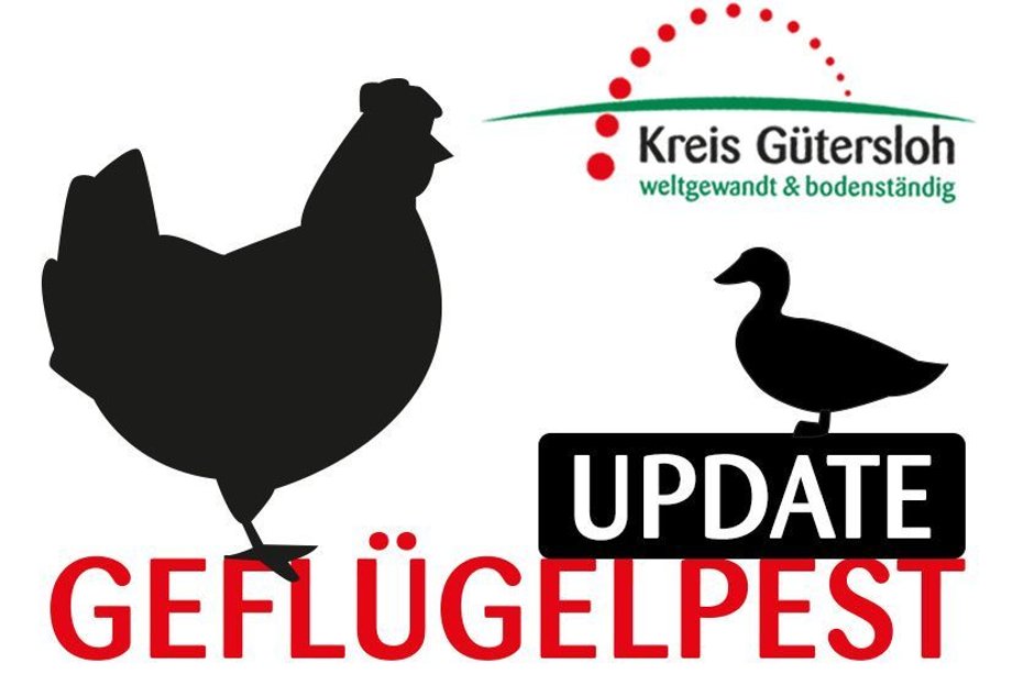 Grafik Geflügelpest Update Grafik Geflügelpest Update