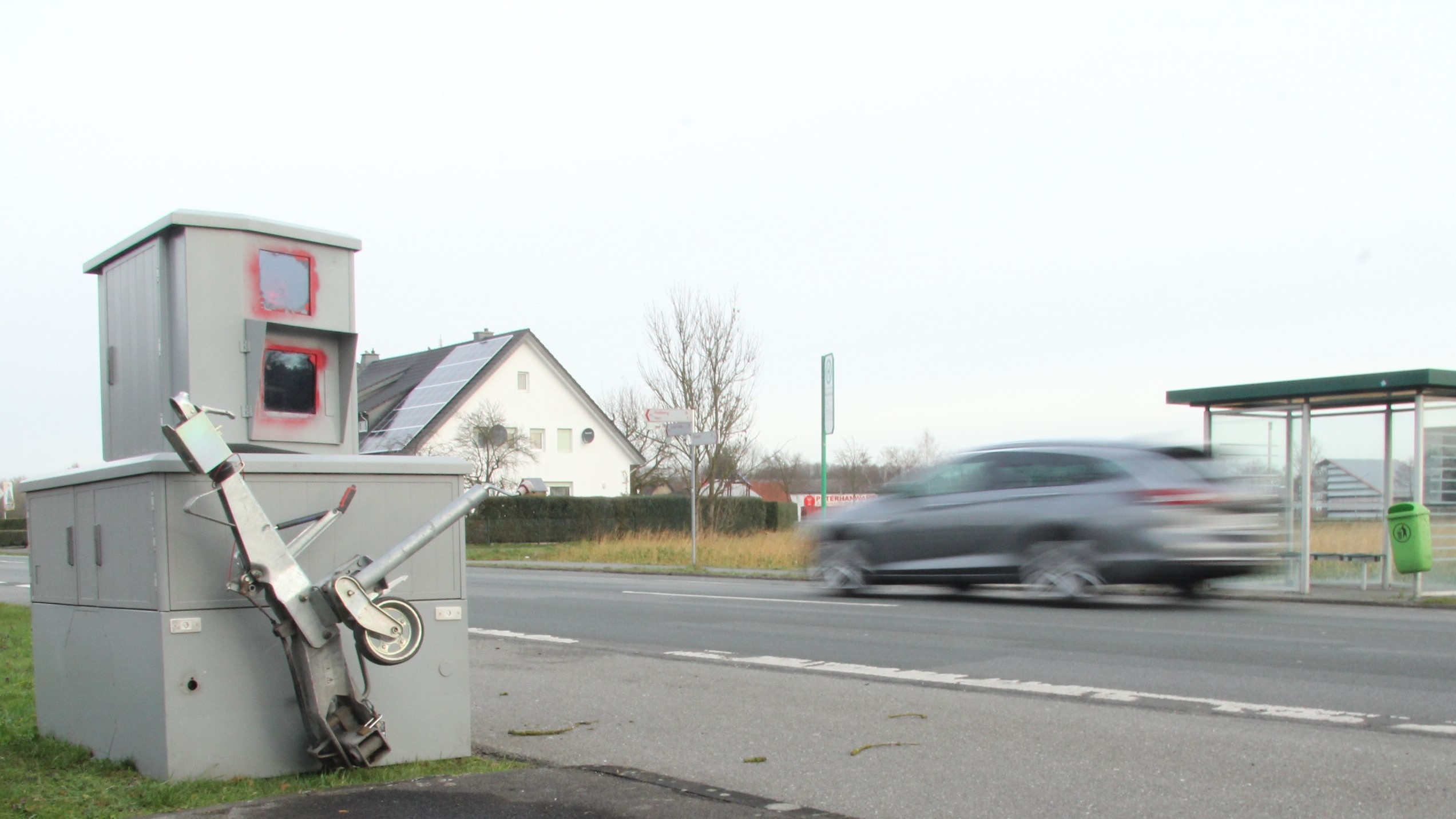 Nico im Februar 2020 in Verl-Kaunitz