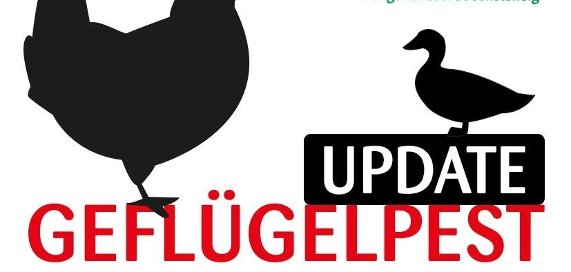 Schriftzug Geflügelpest Update