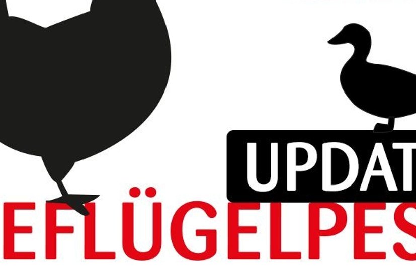 Schriftzug Geflügelpest Update