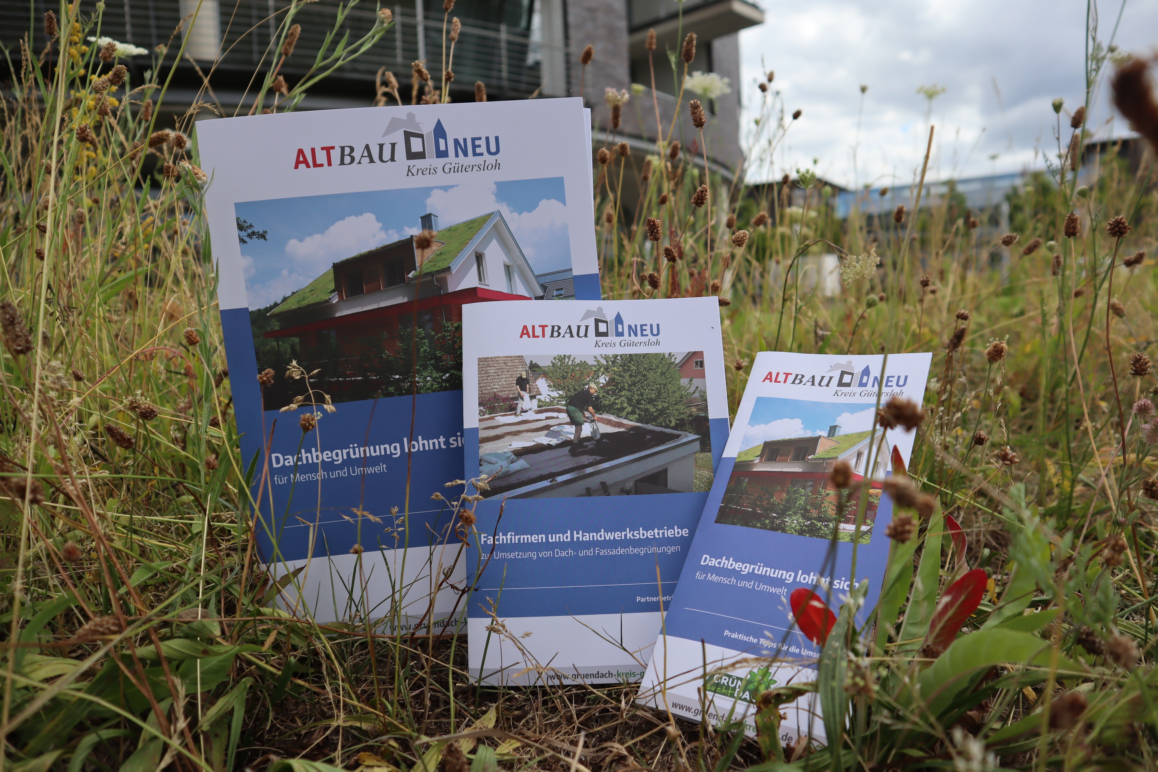 Der Kreis Gütersloh hält für Interessenten eine Infomappe mit aktuellen Broschüren und Faltblättern zur Dachbegrünung bereit. Broschüre zum Thema Dachbegrünung