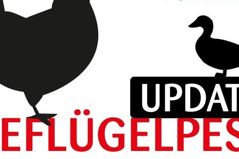 Grafik Geflügelpest Update