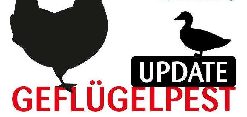 Grafik Geflügelpest Update