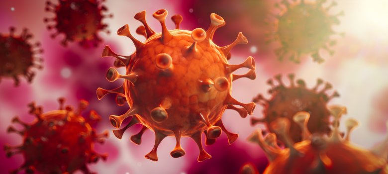 Corona Virus im Inneren des Körpers - Wuhan Virus