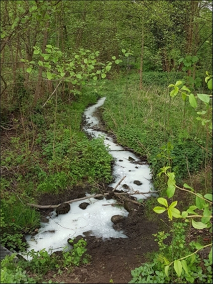 Verunreinigter Bach aufgrund von Putzwasser
