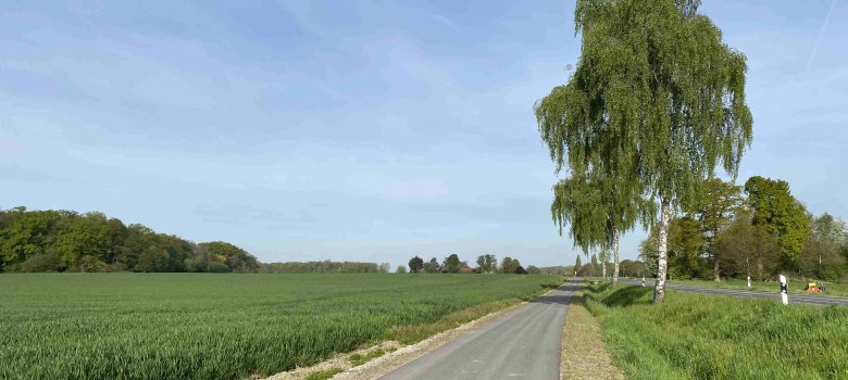 Radweg an der K 55