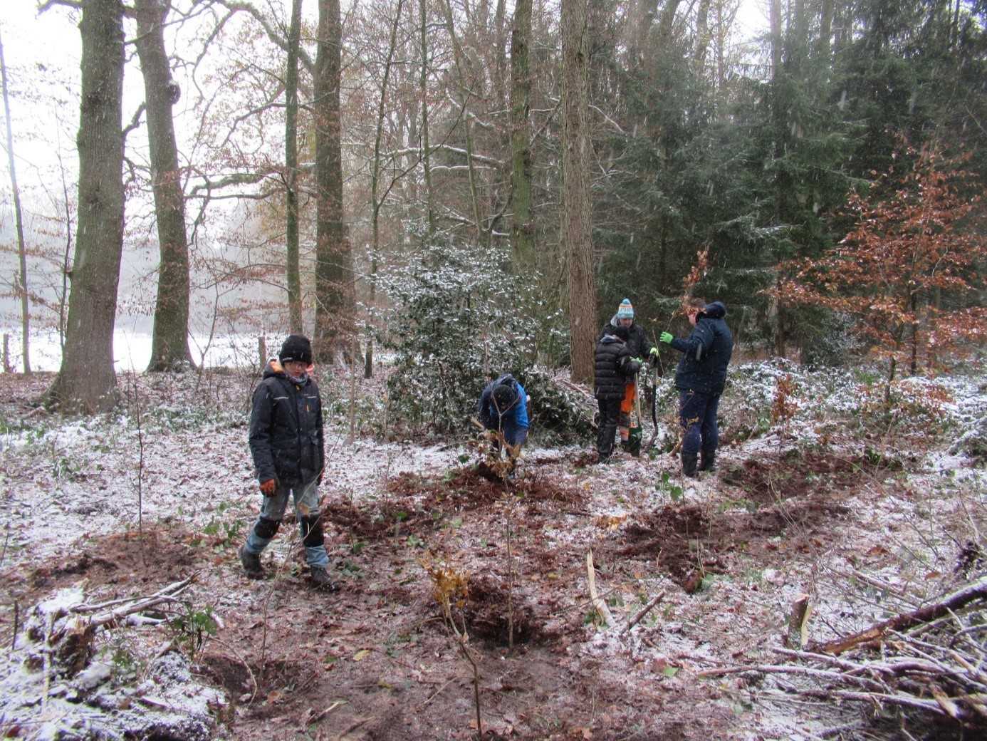 Rund 100 Bäume pflanzten Schülerinnen und Schüler der Gesamtschule an der Ahornallee in einem Waldstück bei Verl. 