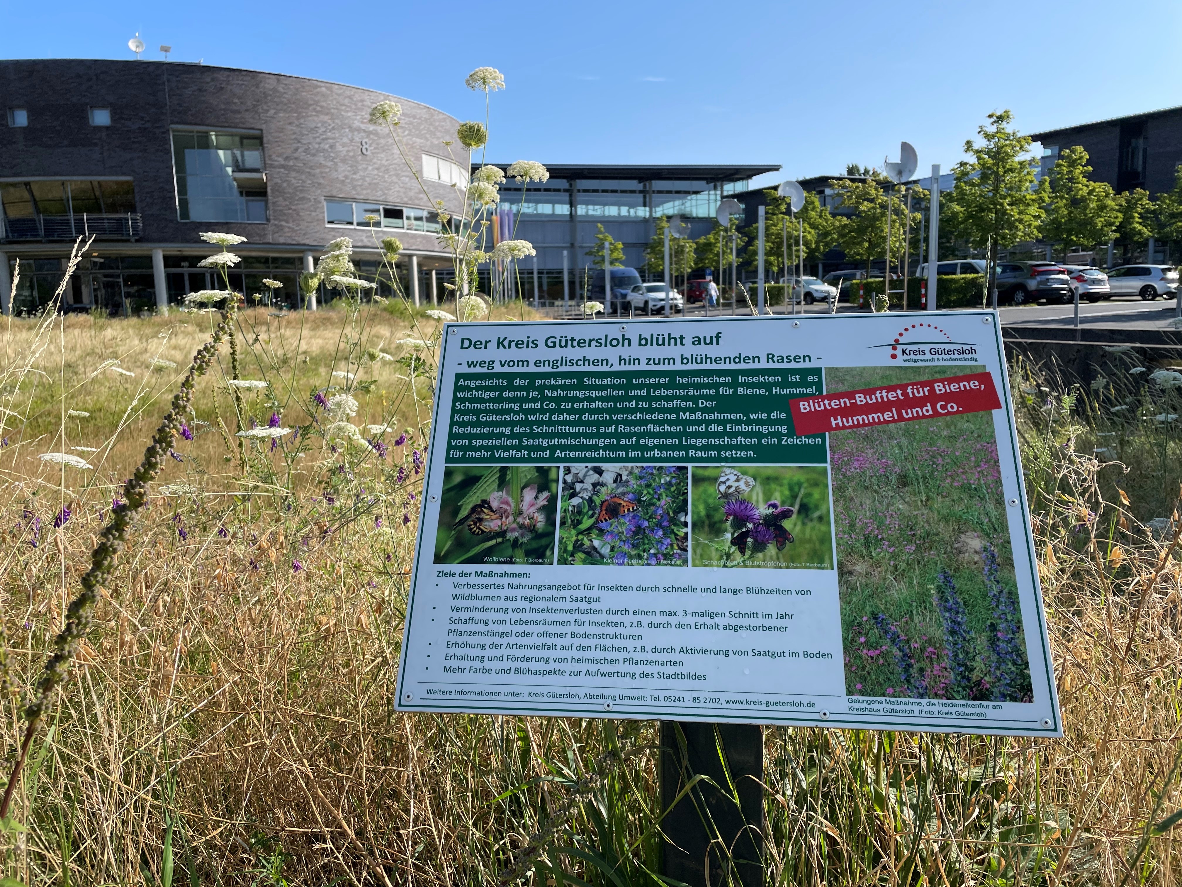 An den Blühflächen am Kreishaus Gütersloh weisen Hinweisschilder auf die Ziele hin. Im Vorbeigehen kann man sich so über die Maßnahmen informieren. An den Blühflächen am Kreishaus Gütersloh weisen Hinweisschilder auf die Ziele hin. Im Vorbeigehen kann man sich so über die Maßnahmen informieren.