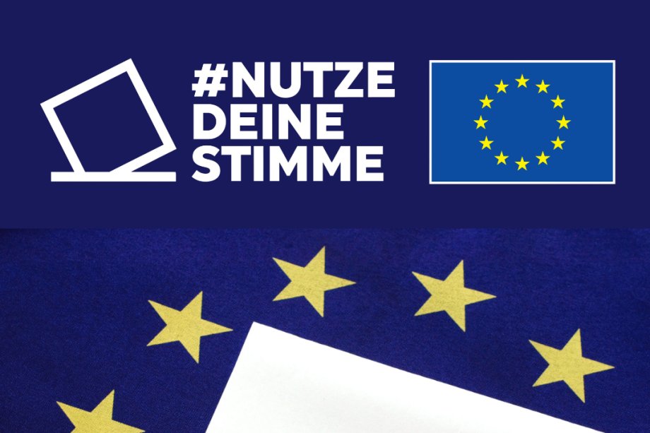 Canva Grafik Europawahl  - Slogan 'Nutze Deine Stimme', Flagge