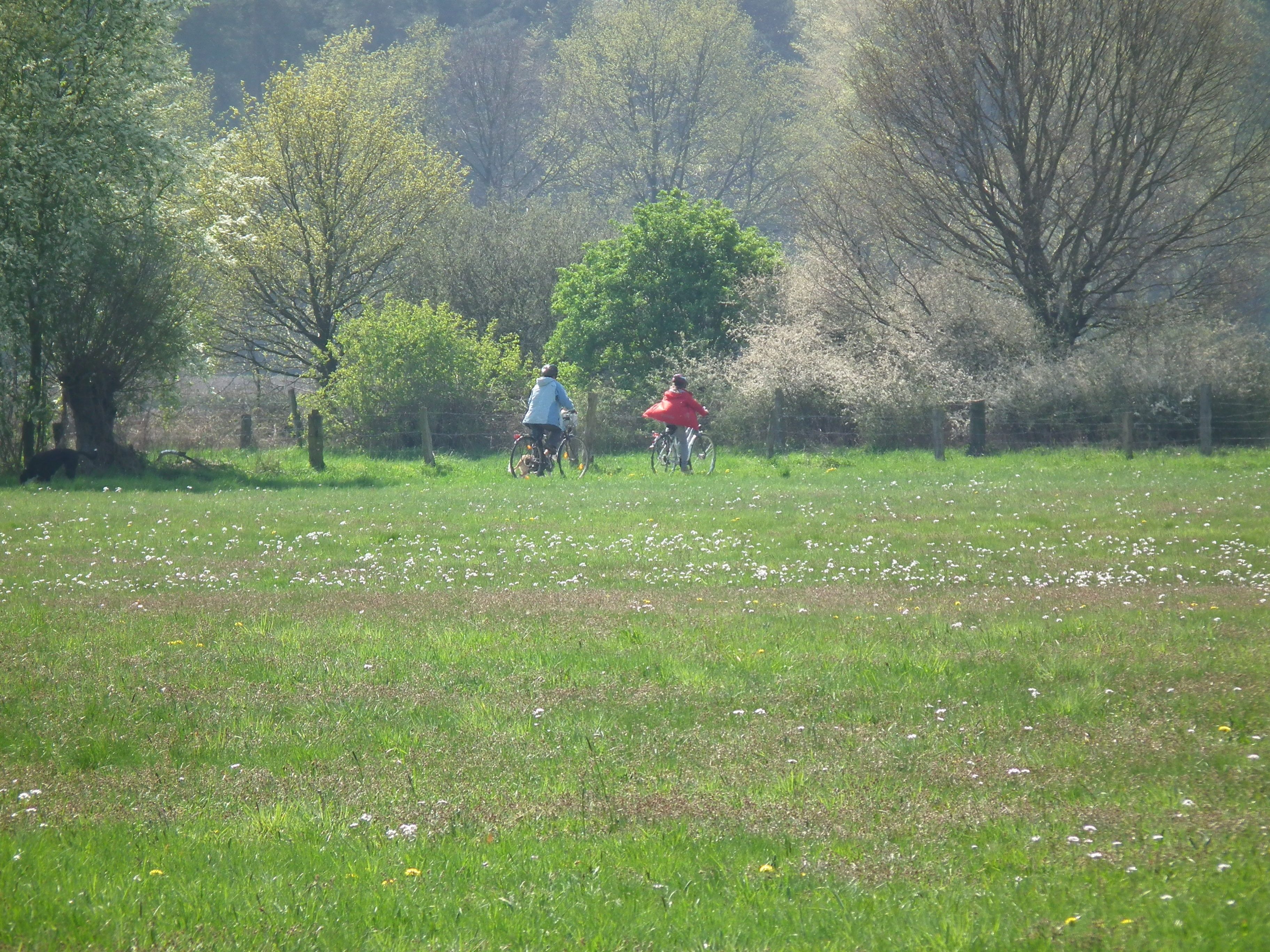 Radler auf einem Feldweg zu sehen