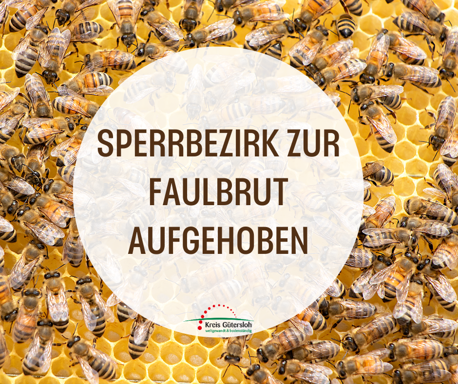 Im Hintergrund sind Bienen zu sehen. In der Mitte steht ein Hinweis, dass der Sperrbezirk zur Faulbrut aufgehoben wurde.
