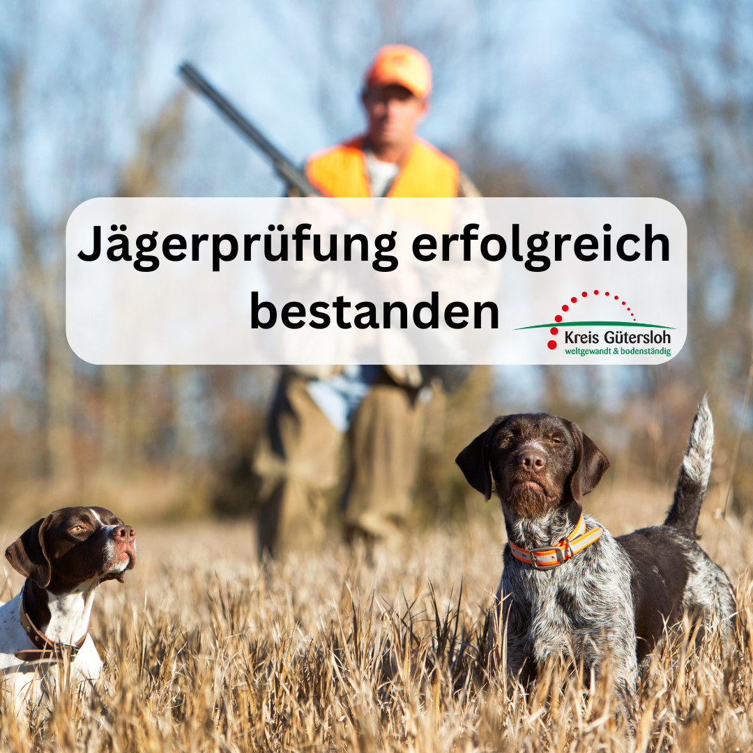 Ein Jäger und zwei Hunde
