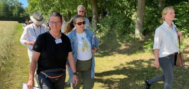 Gruppe geht über einen Feldweg