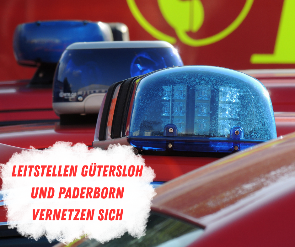 Dein Abschnittstext - 1