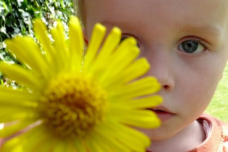 Archivfoto Ole und Blume