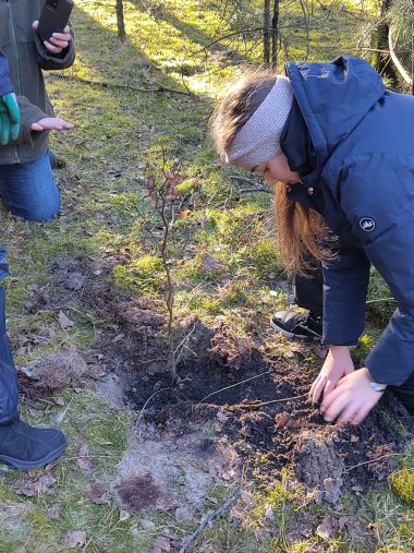 Mädchen pflanzt einen kleinen Baum ein.