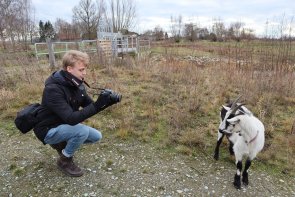 Max Volkmann bei einem Außentermin an der Glenne in Langenberg. MAx Volkmann fotografiert eine Ziege an der Glenne in Langenberg.