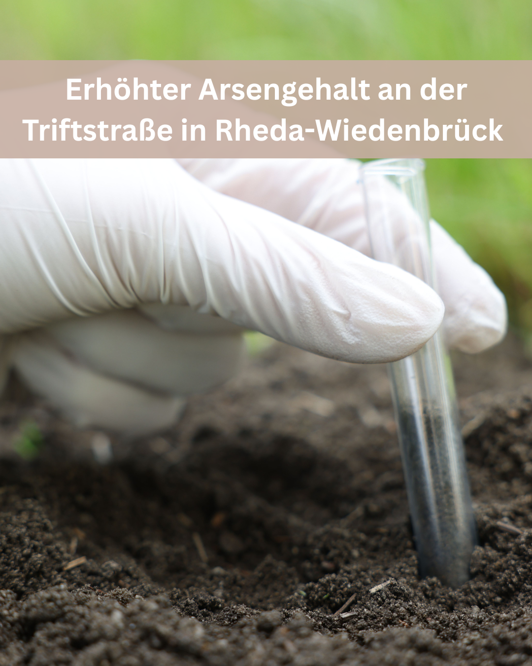 Arsengehalt - 1 Bodenbeprobungen