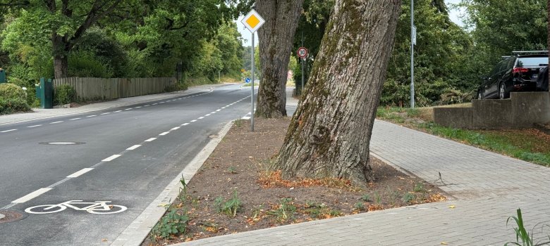 Da ein Anlieger Flächen zur Verfügung gestellt hatte, konnten die Linden erhalten werden und an der Engstelle der Bürgersteig hinter den Bäumen verschwenkt werden.