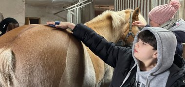 Ein Junge hat eine Bürste in der Hand und putzt das Pferd.