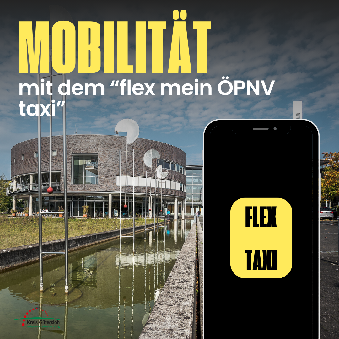 flex taxi - 1 flex taxi - 1