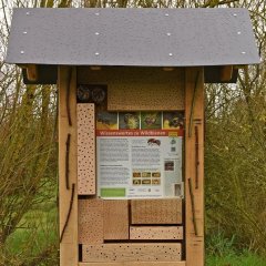 Artenreiche Lebensräume in Harsewinkel entwickeln, erklären.