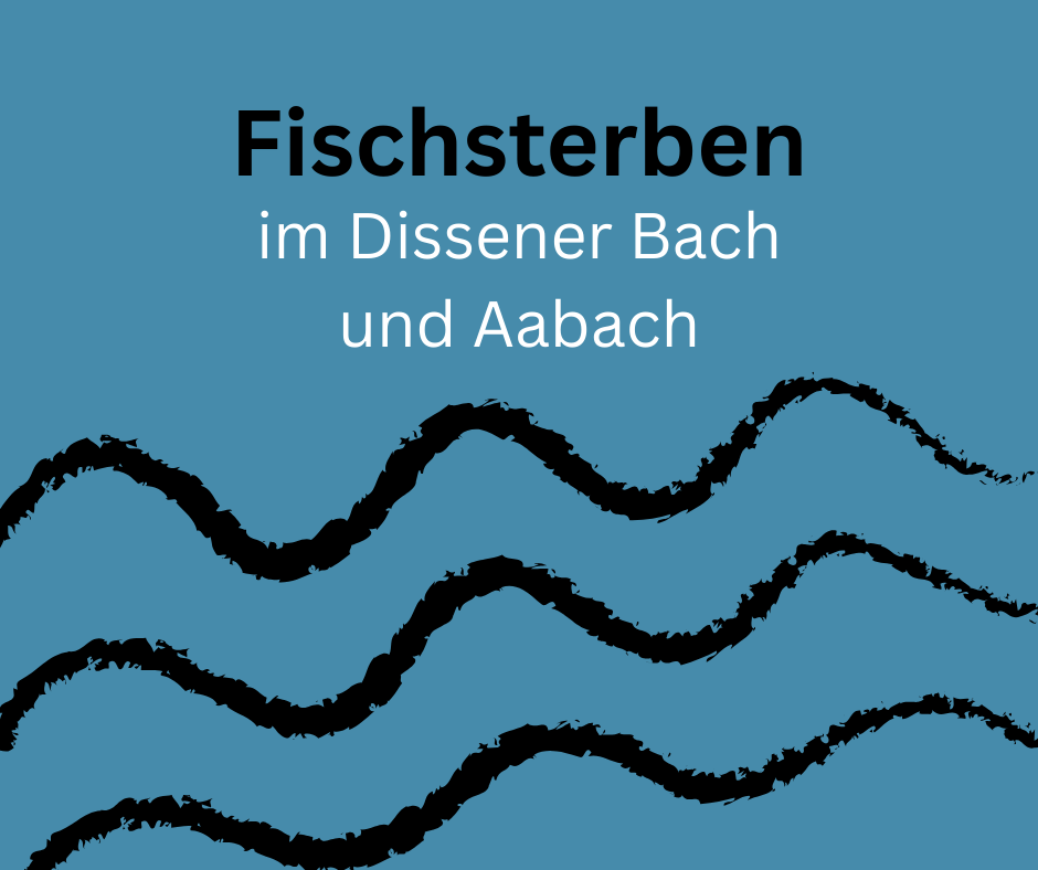 Fischsterben im Dissener Bach und Aabach - 1