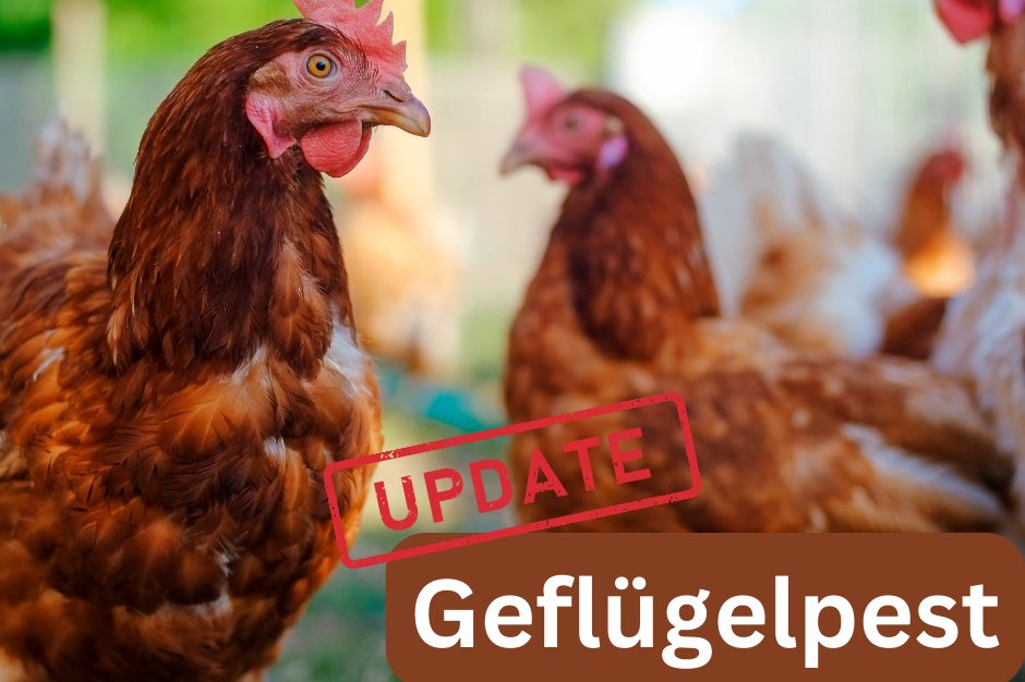 Geflügelpest - 1