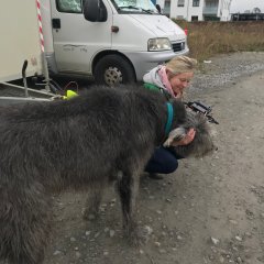 Bei Terminen treffen wir auch auf Fellnasen. Dieser Hund hat sich sehr für unsere Drohne interessiert.