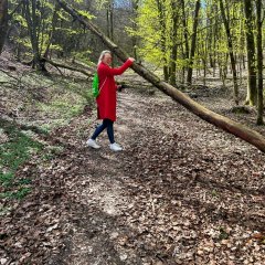 Auf der Suche nach Lieblingsorten war Lena ziemlich oft im Wald.