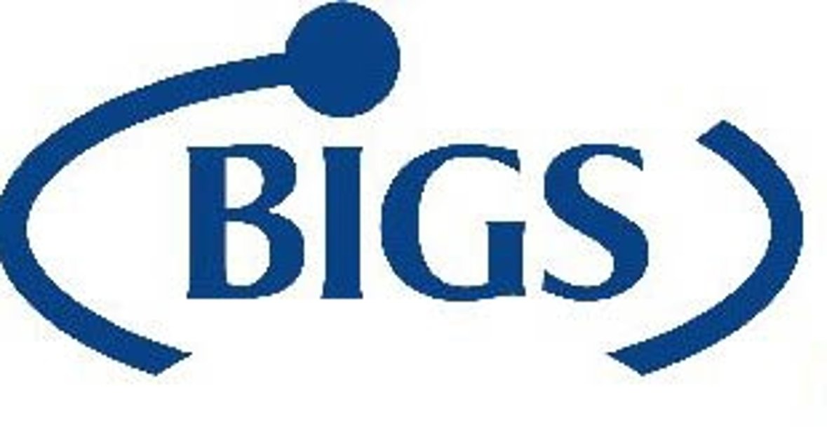 Logo BIGS