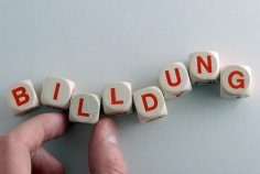 Würfel bilden das Wort Bildung