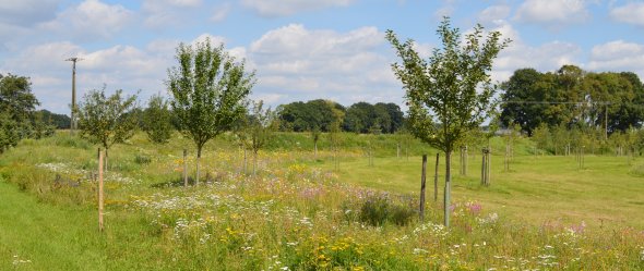 Bild: Teutoburgerwald