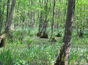 Landschafts und Naturschutzgebiete Startseite