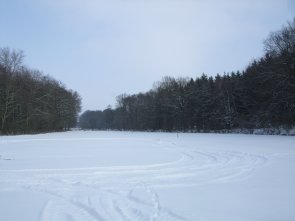112180100000031952.JPG