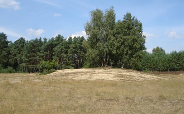 Düne