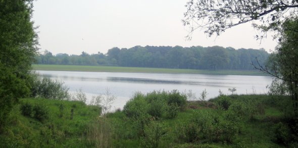 Emssee