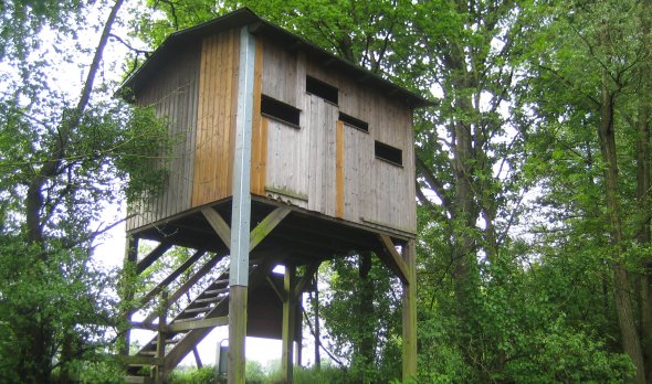 Aussichtsturm